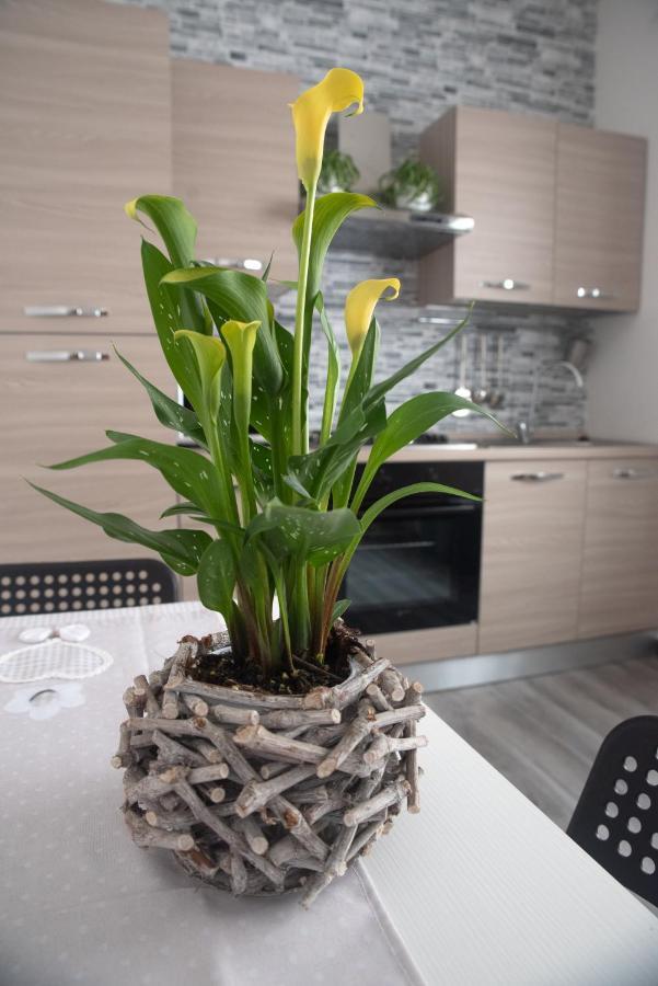 Casa Vacanze Da Gabriella ติโวลี ภายนอก รูปภาพ